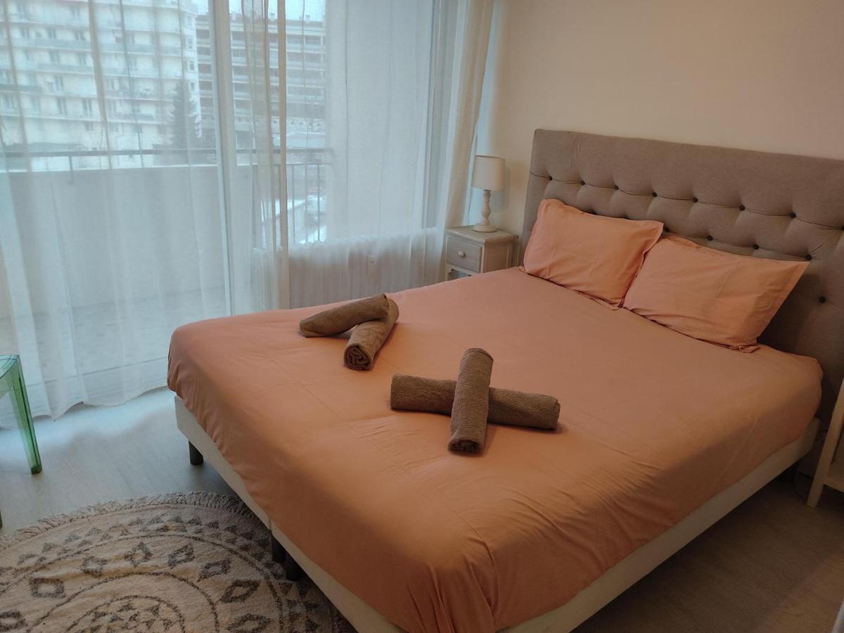 Charmant Appartement Au Bord Du Thiou - アヌシー エクステリア 写真