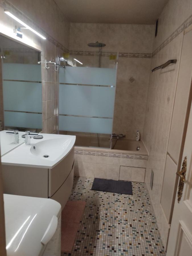 Charmant Appartement Au Bord Du Thiou - アヌシー エクステリア 写真